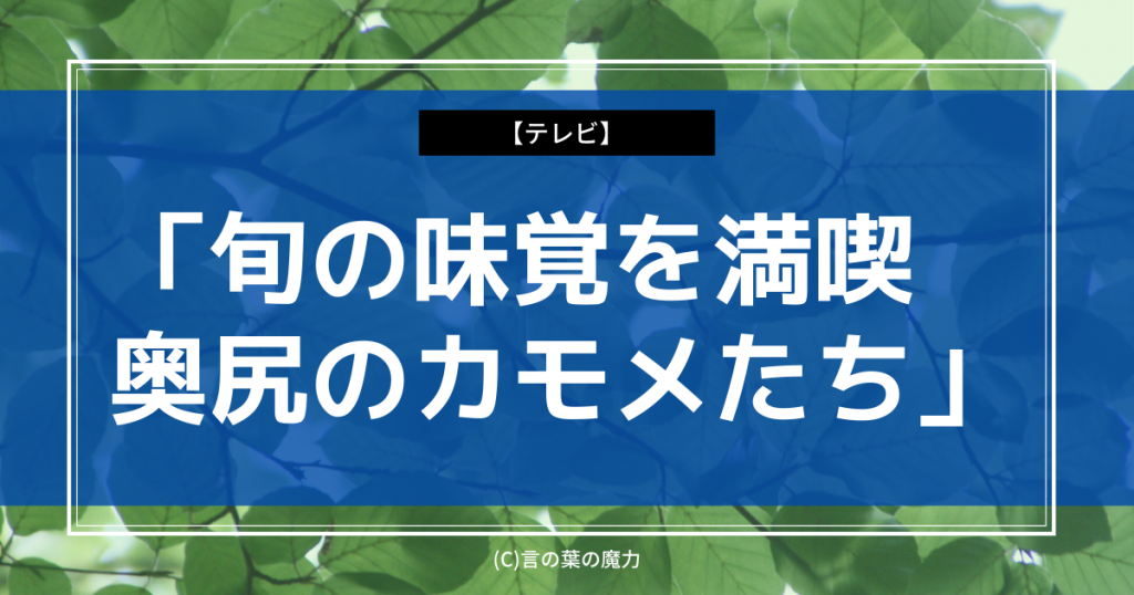 おはよう日本 旬の味覚を満喫 奥尻のカモメたち ウニを 殻のトゲトゲごと 丸呑み 言の葉の魔力