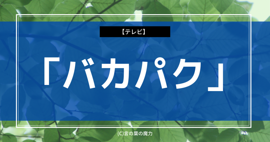 テレビ番組 ボキャブラ天国 バカパク ボキャブラ マトリックス 知的 バカ シブイ インパクト 言の葉の魔力