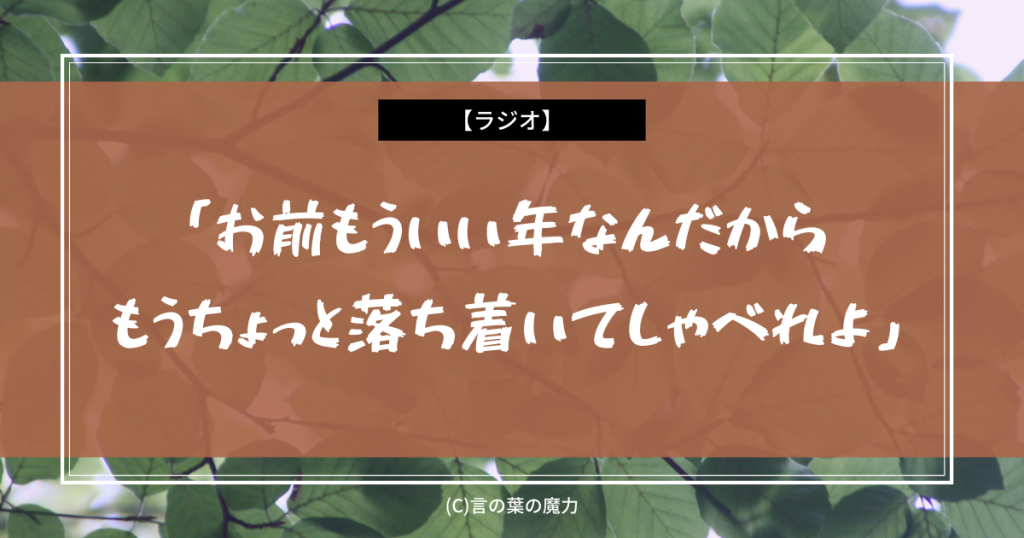 声優 三石琴乃 エピソードトーク お前もういい年なんだからもうちょっと落ち着いてしゃべれよ エクセル サーガ 言の葉の魔力